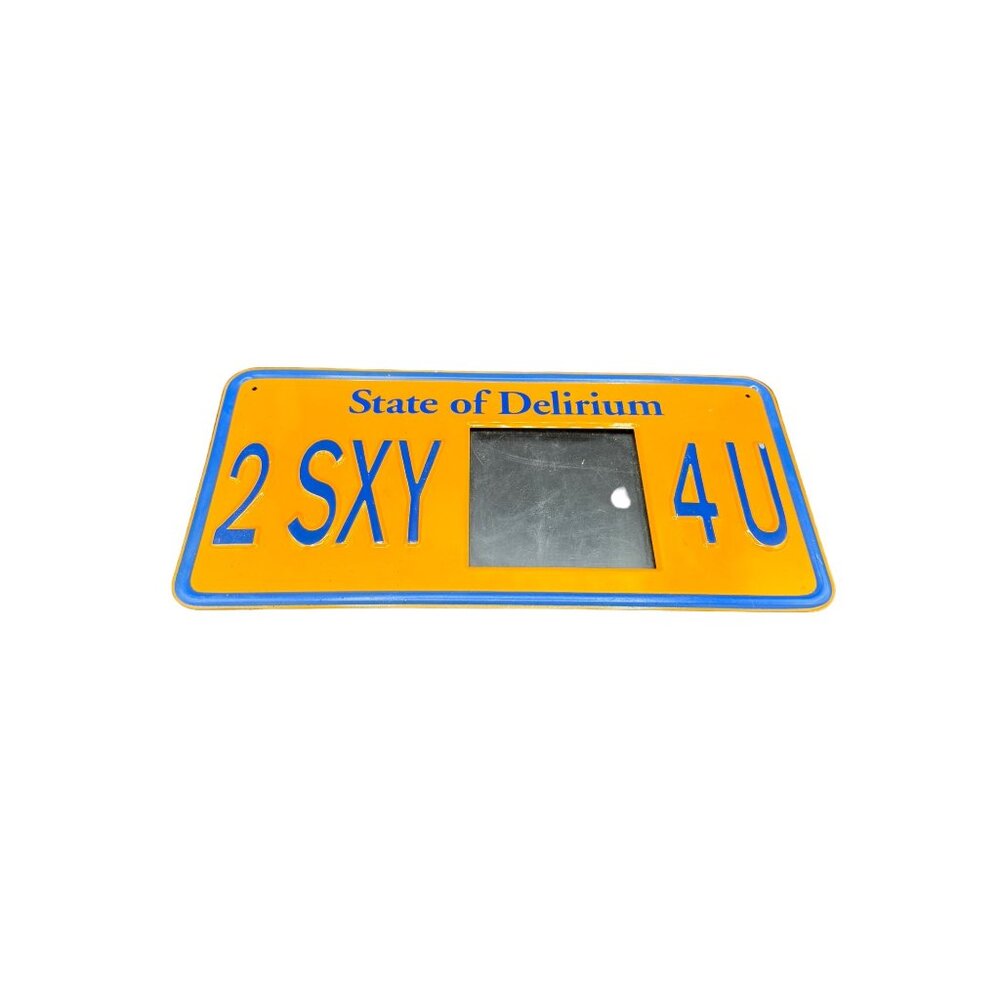 License Plate Photo Frame State of Delirium 2 SXY 4U Tin Frame